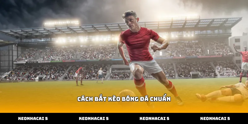 Kỹ năng thực hiện cách bắt kèo bóng đá chuẩn qua đội hình