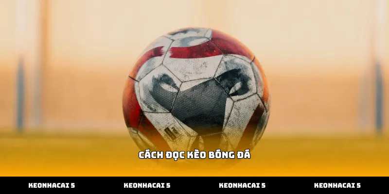 Hướng dẫn cách đọc kèo bóng đá châu Á tại sân chơi uy tín