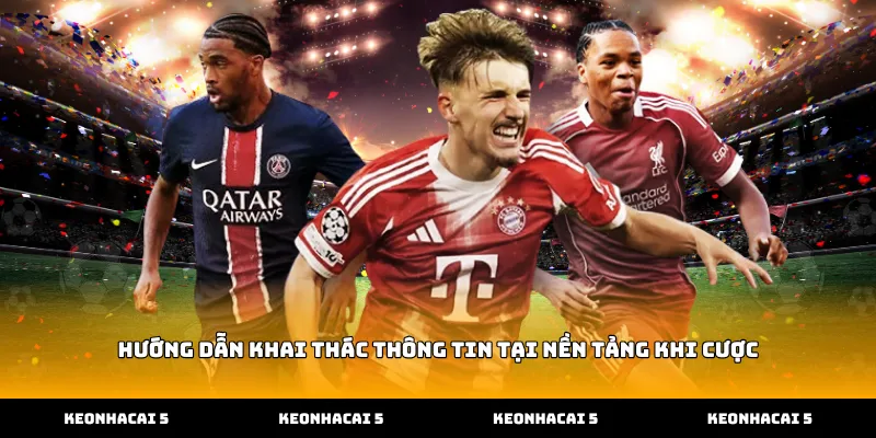 Hướng dẫn khai thác thông tin tại nền tảng khi cược