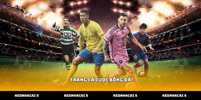Cách vận hành tỷ lệ của trang cá cược bóng đá